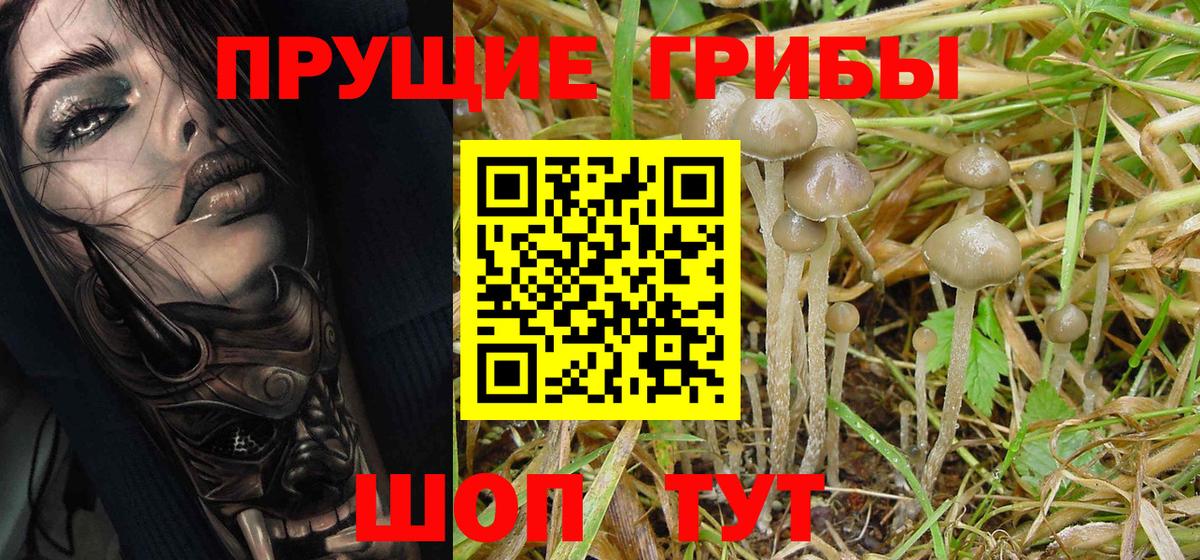Галлюциногенные грибы ЛСД  Вход с VPN  Псилоцибиновые грибы Magic Shrooms  Черняховск 