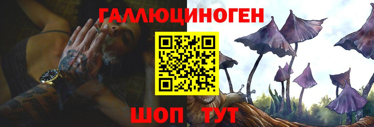 Псилоцибиновые грибы GOLDEN TEACHER Черняховск