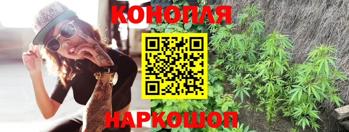 Бошки марихуана конопля  Марихуана Bruce Banner  Вход с VPN  Конопля OG Kush  Черняховск 